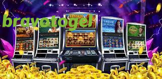 bravotogel editorial visual